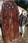 10+ Years Selling Ancient Sinker Cypress on eBay! Old Growth Exotic Wood Samples